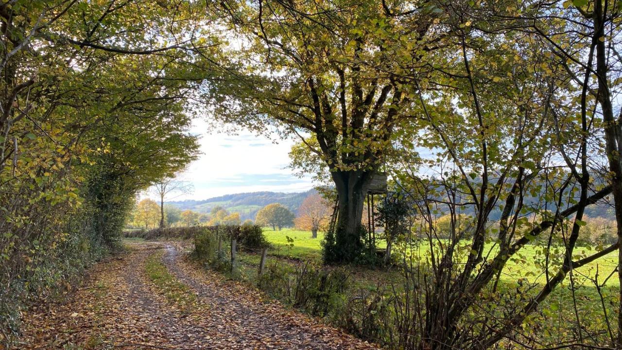 Le Brame Du Cerf Villa Theux Buitenkant foto