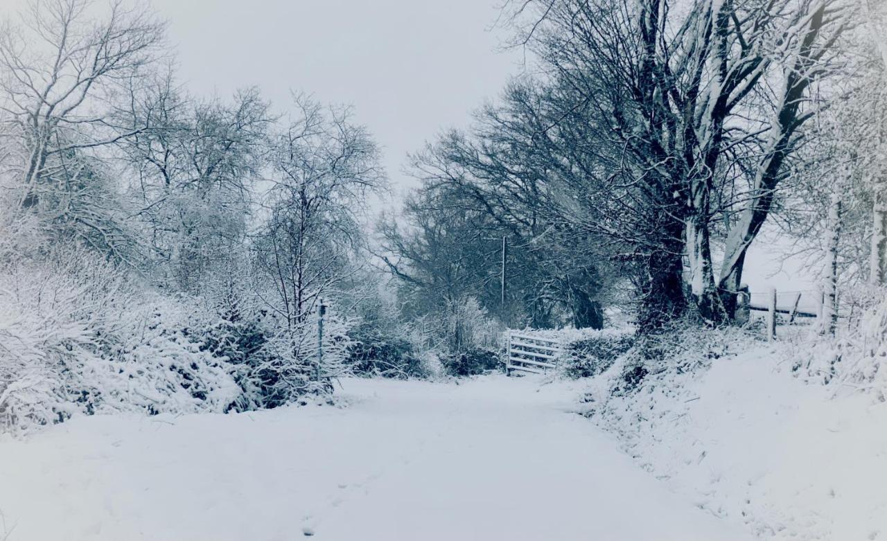 Le Brame Du Cerf Villa Theux Buitenkant foto